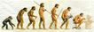 Evolución humana hasta nuestros días